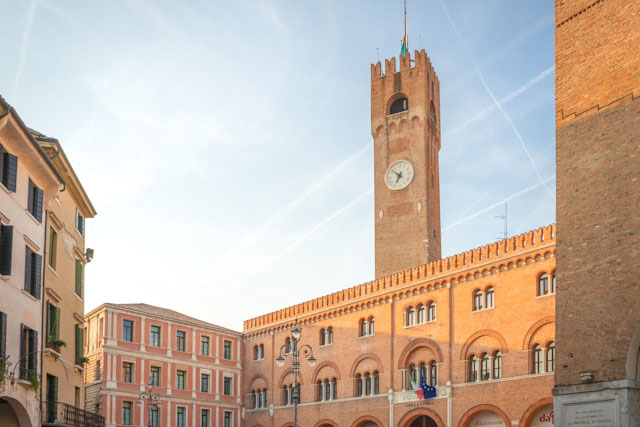 Disinfestazioni Treviso e provincia