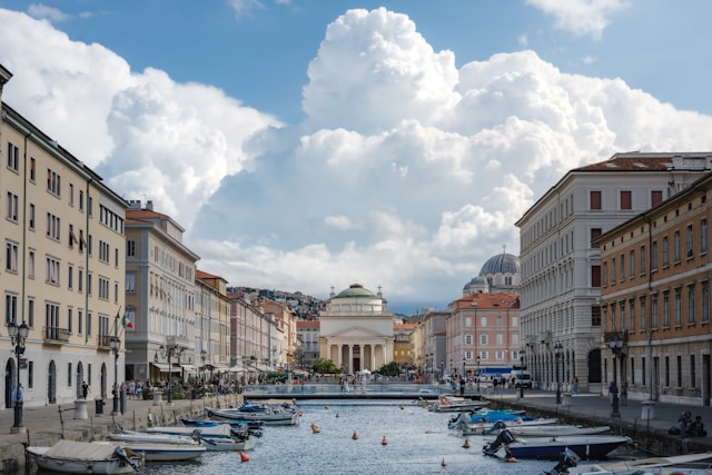 Disinfestazioni Trieste e provincia