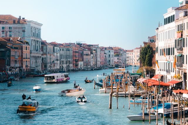 Disinfestazioni Venezia e provincia