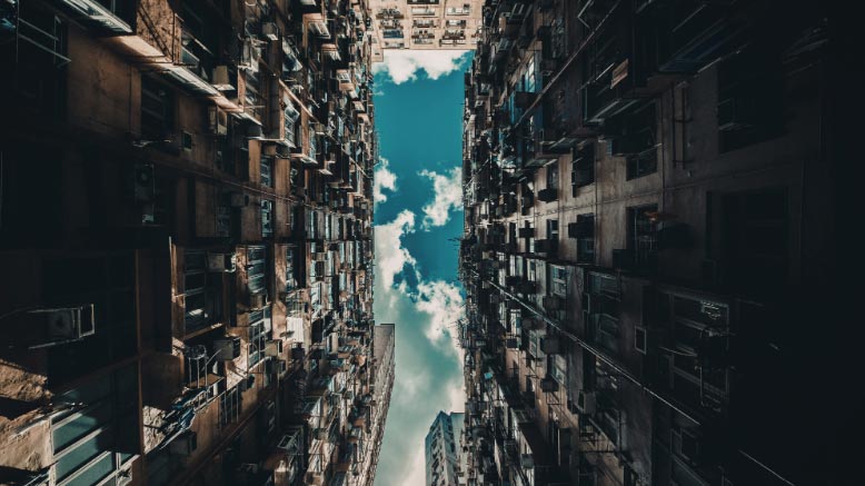 Il caldo urbano favorisce insetti e roditori