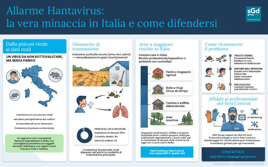 Hantavirus 2026: Allarme sulla MV Hondius e Biosicurezza in Italia. Cosa rischiamo davvero?
