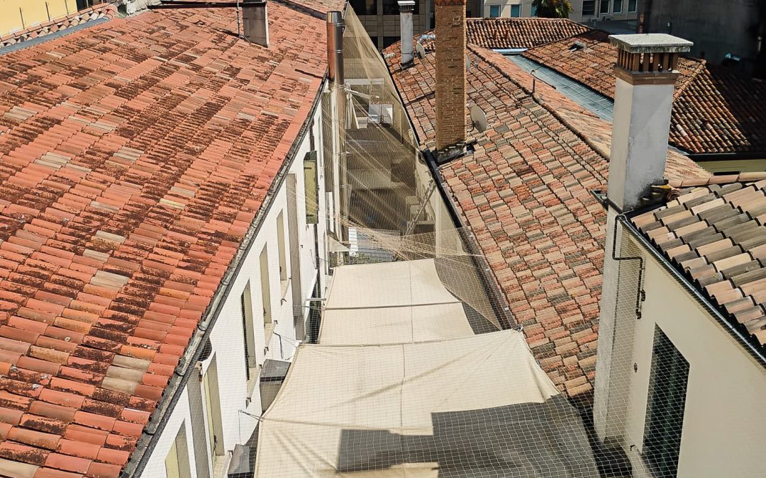Dissuasione volatili a Mestre: una rete antipiccioni progettata per l’Hotel Vivit
