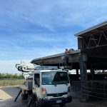 Derattizzazione stalla SGD Group